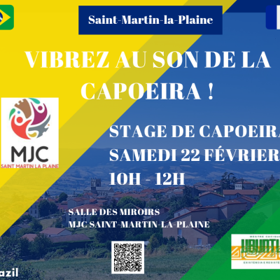 Stage Capoeira Février