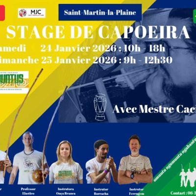Stage Capoeira Janvier 2026